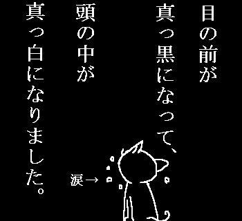 081229