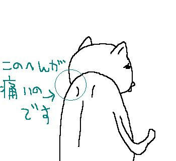 090317