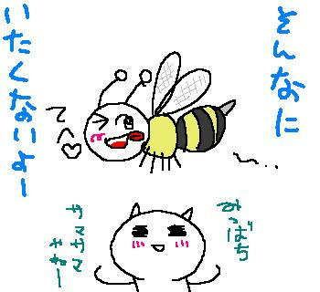 090804
