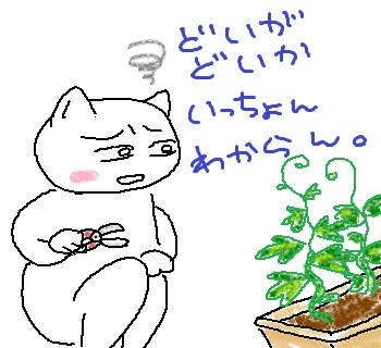 110620