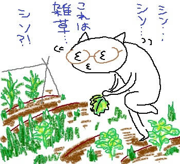 110624