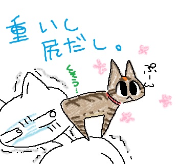 120219