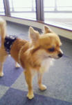 201002131217000.jpg