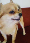 201002131217001.jpg