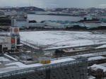 DSC01475_1_1.JPG