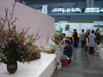 DSC01768_1_1.JPG