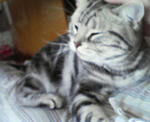 200511020938000.jpg
