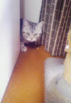 201004150717000.jpg