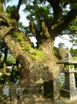 DSC01909_r1_1_1.JPG