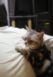 201005142233001.jpg