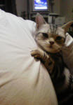 201005142233000.jpg