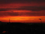 DSC00923_1_1.JPG