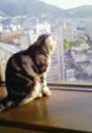 201004291805000.jpg