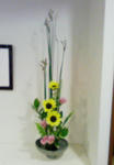 201006182001000.jpg