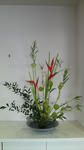 P1000297.jpg