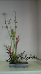 P1000298.jpg