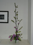 2011_0113_195447-CIMG0027.JPG