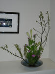 2011_0113_195930-CIMG0030.JPG