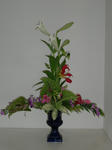2011_0116_132644-CIMG0075.JPG