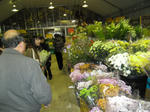 2011_0212_143931-CIMG0258.JPG