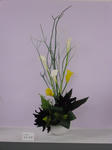 2011_0212_204608-CIMG0287.JPG