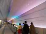 2011_0211_180236-CIMG0226.JPG