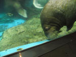 2011_0220_124714-CIMG0395.JPG