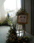 2011_0226_114731-CIMG0459.JPG