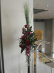 2011_0226_114817-CIMG0460.JPG