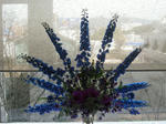 2011_0226_114718-CIMG0458.JPG