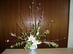 2011_0228_140053-CIMG0499.JPG