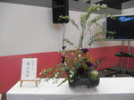2011_0318_142309-CIMG0714.JPG