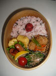 2011_0228_080626-CIMG0496.JPG