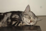 DSC01223.JPG