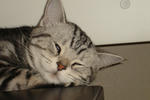 DSC01226.JPG