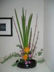 2011_0317_194247-CIMG0647.JPG