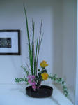 2011_0317_194829-CIMG0650.JPG