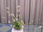 2011_0407_194253-CIMG0903.JPG