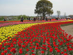 2011_0417_131157-CIMG1070.JPG