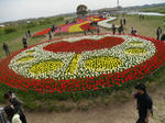 2011_0417_131625-CIMG1075.JPG