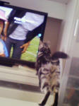 201104221405000.jpg