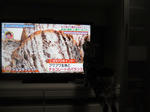 2011_0423_192802-CIMG1183.JPG