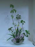 2011_0428_195220-CIMG1215.JPG