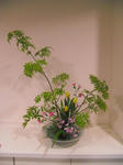 2011_0428_195441-CIMG1218.JPG