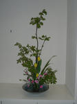 2011_0428_195618-CIMG1220.JPG
