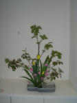 2011_0428_200341-CIMG1222.JPG
