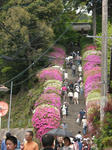 2011_0504_131717-CIMG1308.JPG