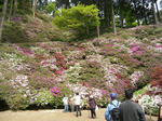 2011_0504_133353-CIMG1313.JPG