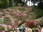 2011_0504_133422-CIMG1315.JPG