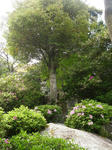 2011_0504_135409-CIMG1318.JPG